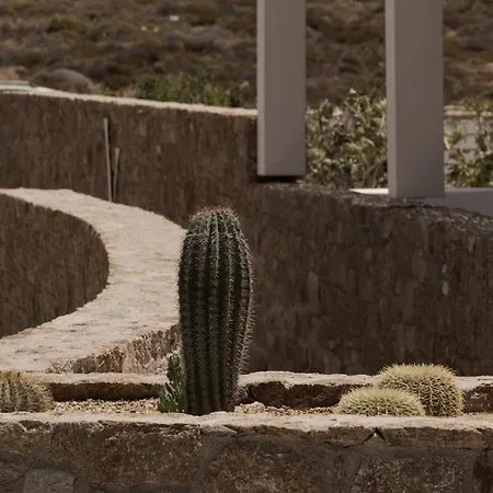 ホテル Yi Mykonos 4*